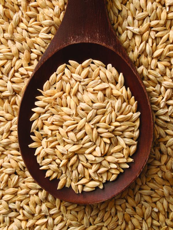 KI Pure Malting Barley3