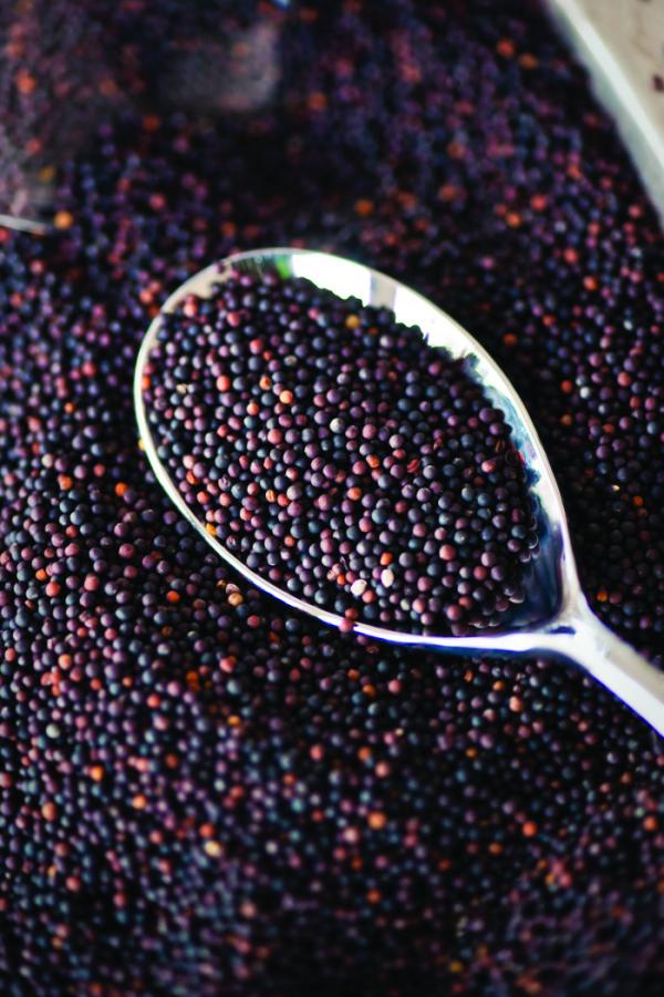 KI Pure Non GMO Canola